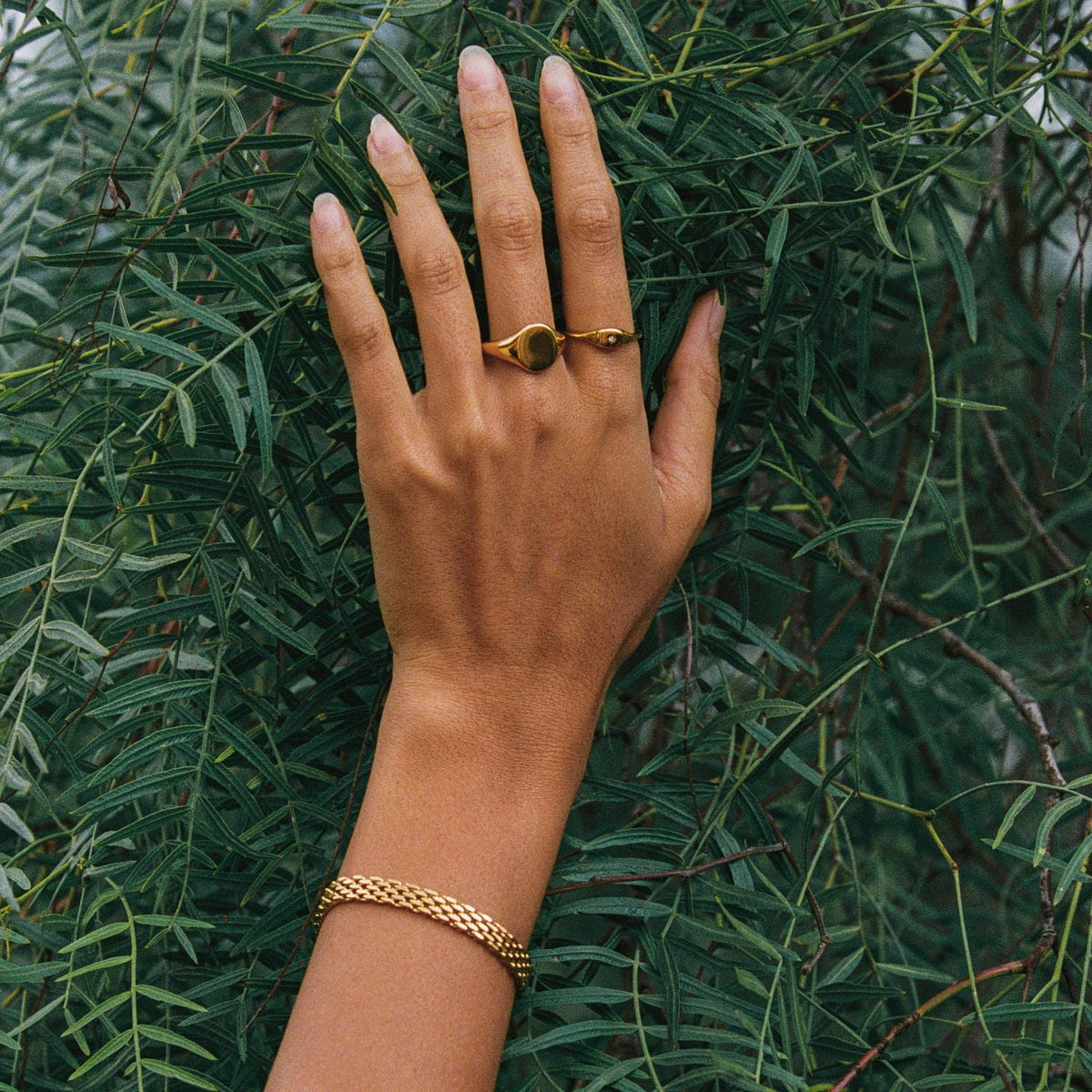 Sifnos Dorée Bracelet